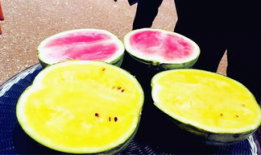 很火的吃瓜爆料,揭秘明星背后的惊人真相